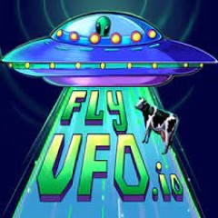 FlyUFO io